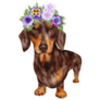 Dachshund Flower Crown Sticker