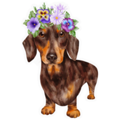 Dachshund Flower Crown Sticker