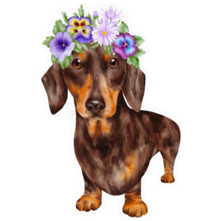 Dachshund Flower Crown Sticker