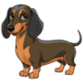 Dachshund Illustration Sticker
