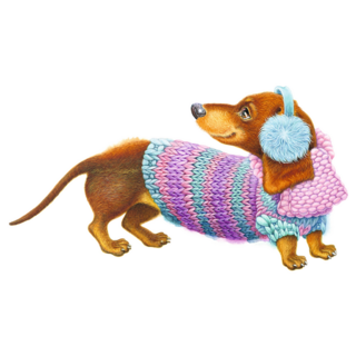 Dachshund In Sweater Sticker