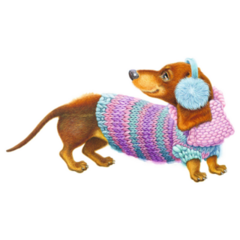 Dachshund In Sweater Sticker