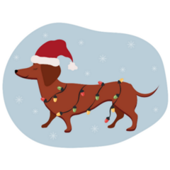 Dachshund In Winter Snow Sticker