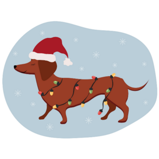 Dachshund In Winter Snow Sticker
