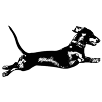 Dachshund Jump Sketch Sticker