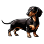 Dachshund Mug Into Distance Sticker
