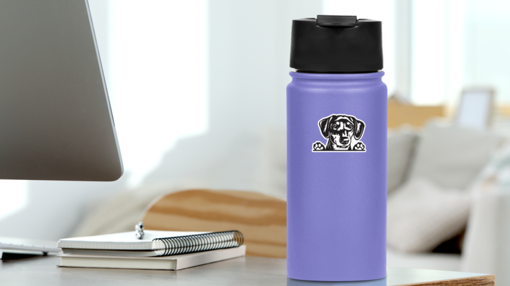 Dachshund Peeking Sticker on a Water Bottle (New) example