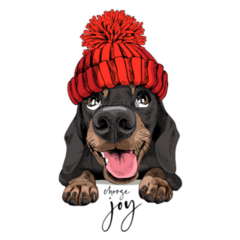 Dachshund Red Knit Hat Sticker