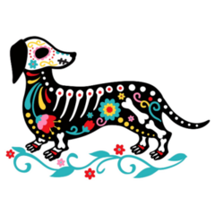 Dachshund Skeleton Sticker