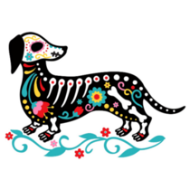 Dachshund Skeleton Sticker
