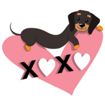 Dachshund xoxo Sticker