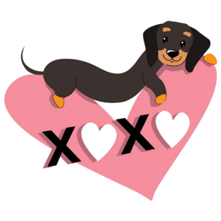 Dachshund xoxo Sticker
