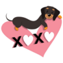 Dachshund xoxo Sticker