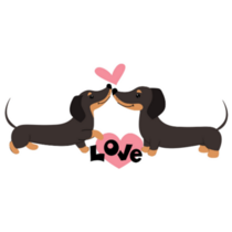 Dachshunds In Love Sticker 