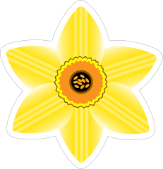 Daffodil Flower Sticker