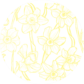 Daffodil Line Work Pattern Circle Sticker