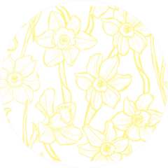 Daffodil Line Work Pattern Circle Sticker