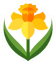 Daffodil - Symbol Of Wales Sticker
