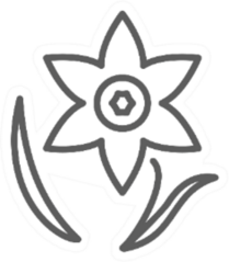 Daffodils Icon Line Symbol Sticker