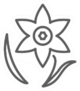 Daffodils Icon Line Symbol Sticker