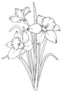 Daffodils Illustration Sketch Sticker