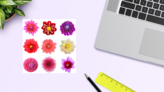 Dahlia Flower Sticker Sheet on a Desk (New) example