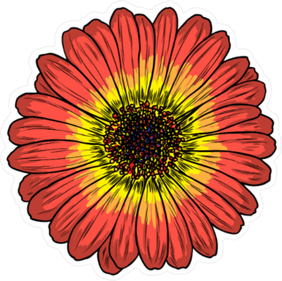 Daisy Floral Botany Sketch Sticker