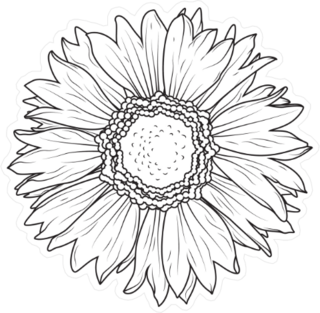 Daisy Line Art Sticker