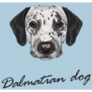 Dalmatian Dog Portrait Blue Sticker