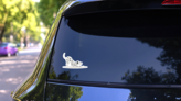 Dalmatian Down Dog Sticker on a Rear Car Window (New) example