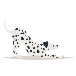 Dalmatian Down Dog Sticker