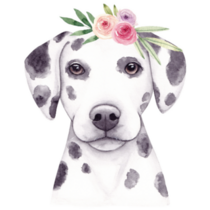 Dalmatian & Flowers Sticker