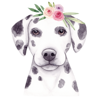 Dalmatian & Flowers Sticker