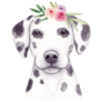 Dalmatian & Flowers Sticker