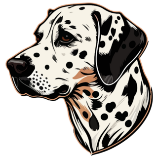 Dalmatian Illustrated Sticker