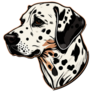 Dalmatian Illustrated Sticker