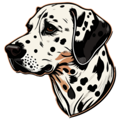 Dalmatian Illustrated Sticker