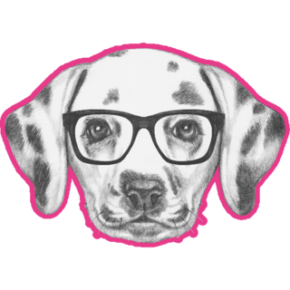 Dalmatian In Glasses Pink Sticker