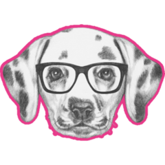 Dalmatian In Glasses Pink Sticker