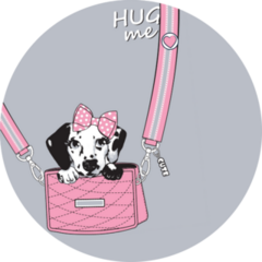 Dalmatian In Purse Sticker