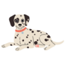 Dalmatian Laying Sticker