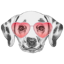 Dalmatian Love Portrait Sticker