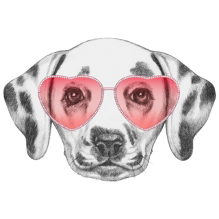 Dalmatian Love Portrait Sticker