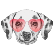 Dalmatian Love Portrait Sticker