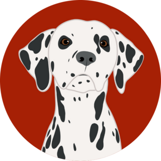 Dalmatian On Red Sticker