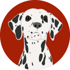 Dalmatian On Red Sticker