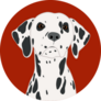 Dalmatian On Red Sticker
