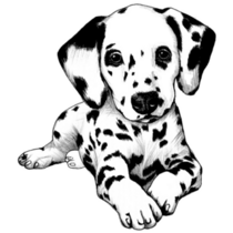 Dalmatian Puppy Sticker