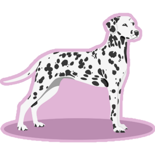 Dalmatian Purple Sticker