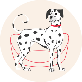 Dalmatian Red Leash Sticker